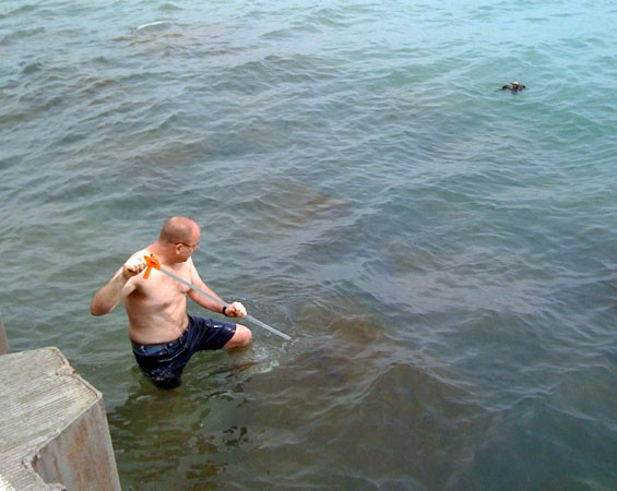 photo1.jpg