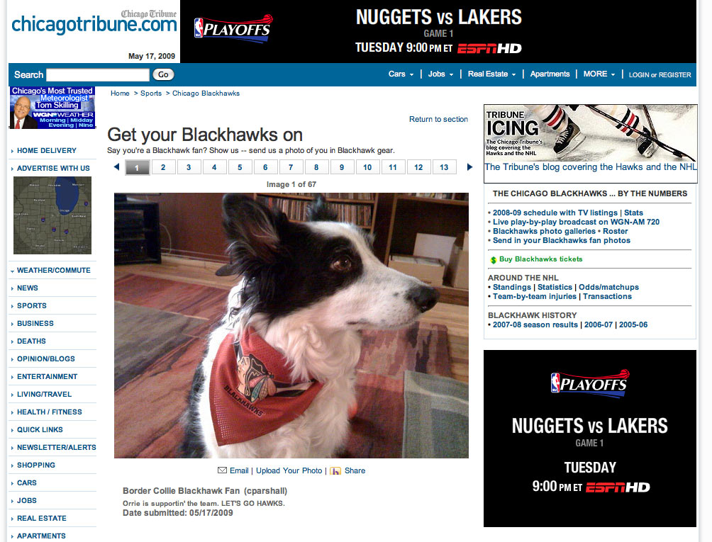 http://www.parshall.net/images/orrie_hawks_screen.jpg