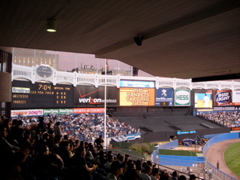 view from my seat