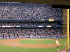 view from my seat