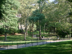 central park