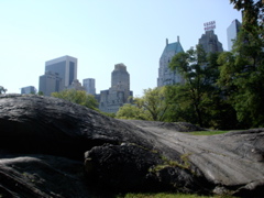 central park