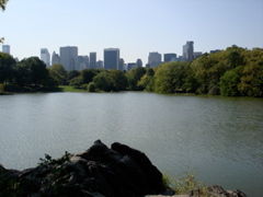 central park