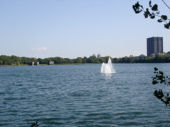 central park