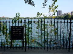 central park