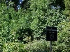 central park