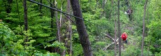 zipline-featured